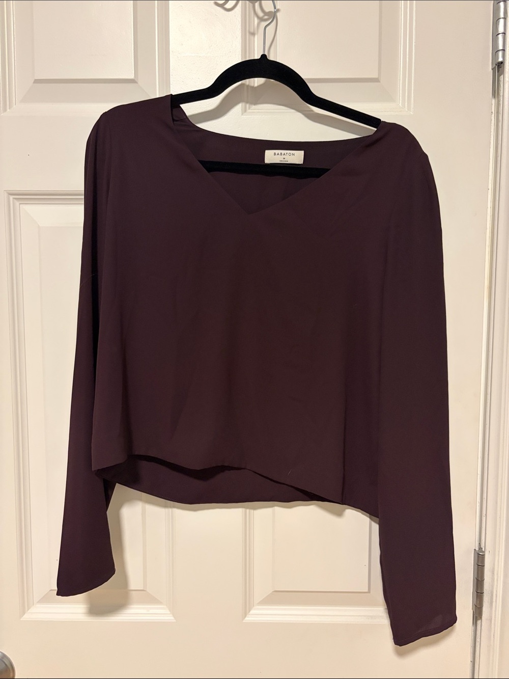 Babaton Plum V-Neck Long Sleeve Blouse